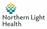 Northern Light Mayo Hospital Logo